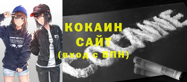 ГАЛЛЮЦИНОГЕННЫЕ ГРИБЫ Медногорск