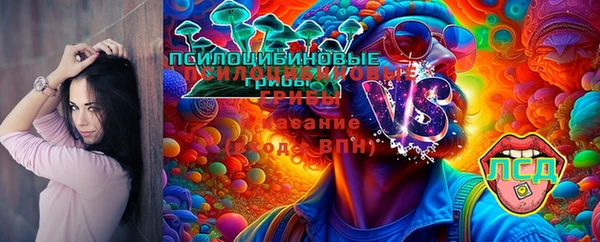 молекула духа Мегион