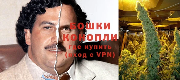 ГАЛЛЮЦИНОГЕННЫЕ ГРИБЫ Медногорск
