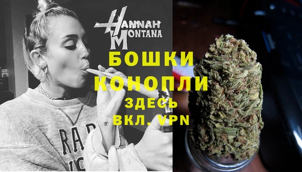 молекула духа Мегион