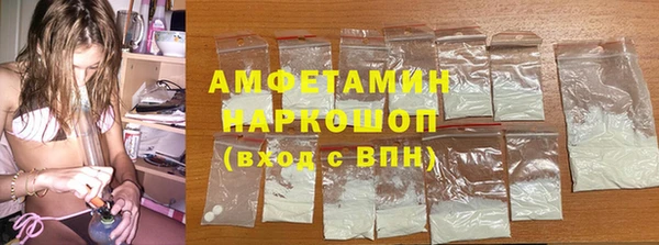 индика Березники