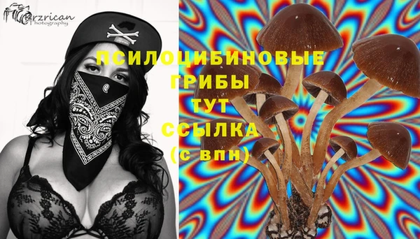 молекула духа Мегион