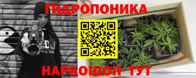 ALPHA PVP Беслан