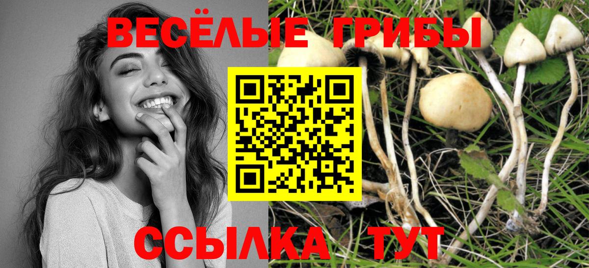 Галлюциногенные грибы Cubensis Ярославль