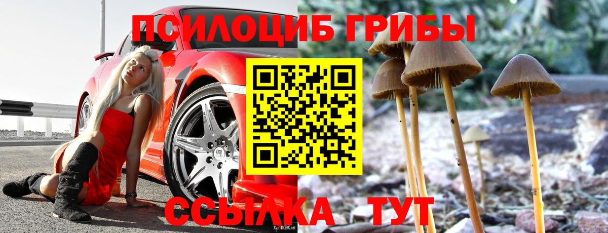 Галлюциногенные грибы Psilocybe  Вход с VPN  Ярославль 